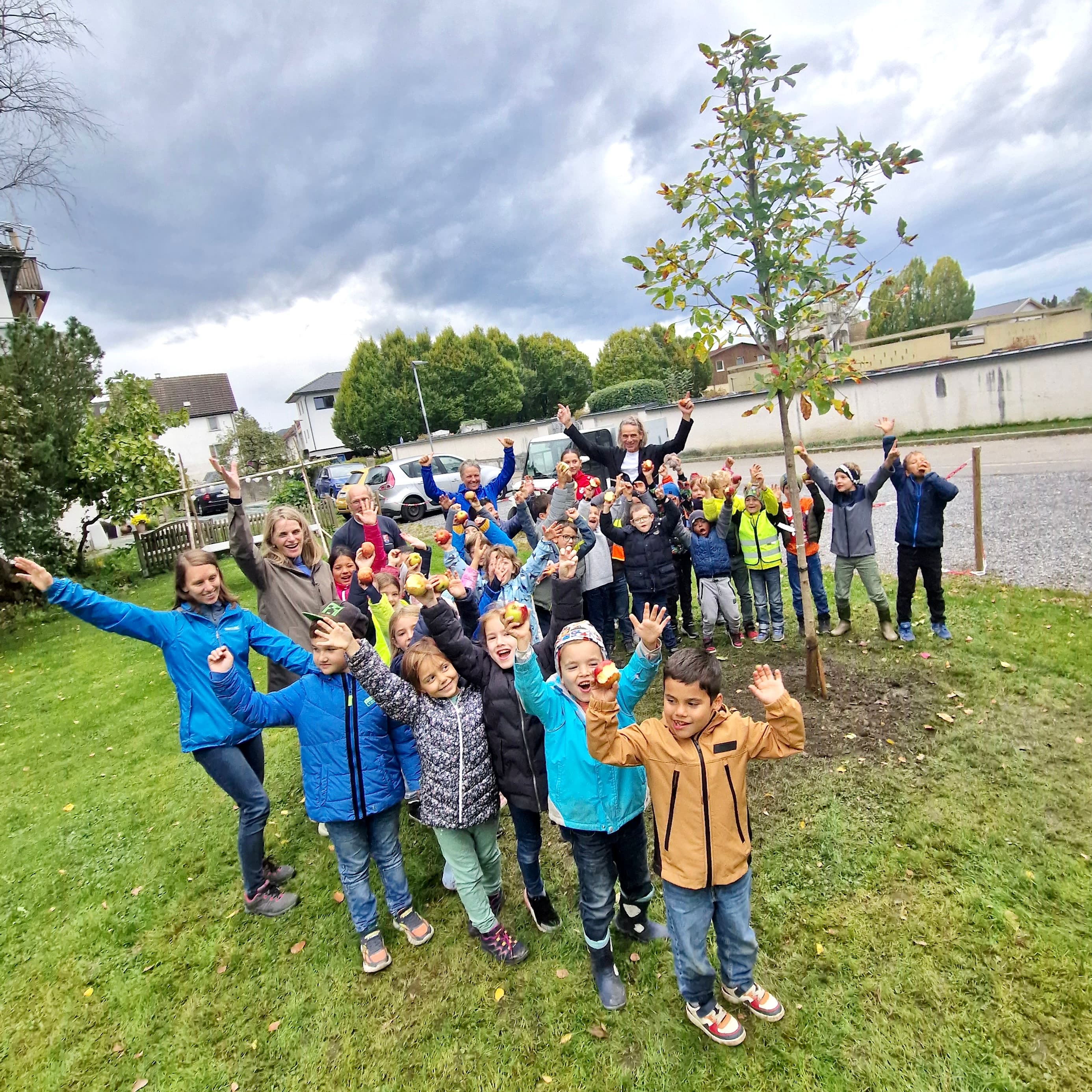 Renew4Grow in Fussach – Gemeinschaftliches Pflanzprojekt setzt Zeichen gegen Gewalt